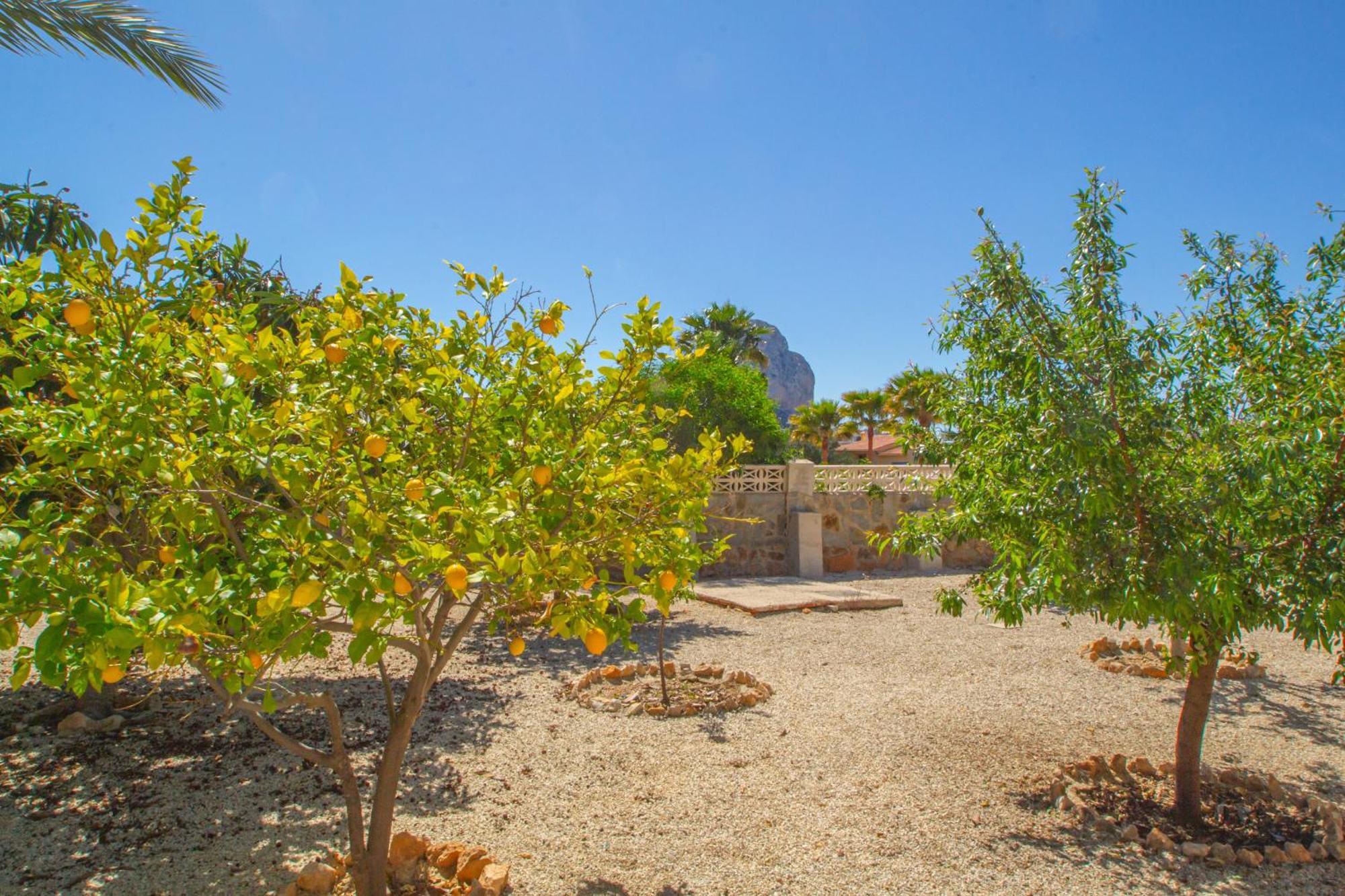 Cohete - Plusholidays Villa Calp